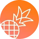 Pineapple Builder Affiliates