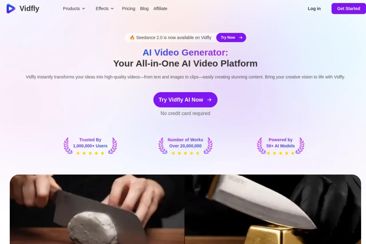 Vidfly