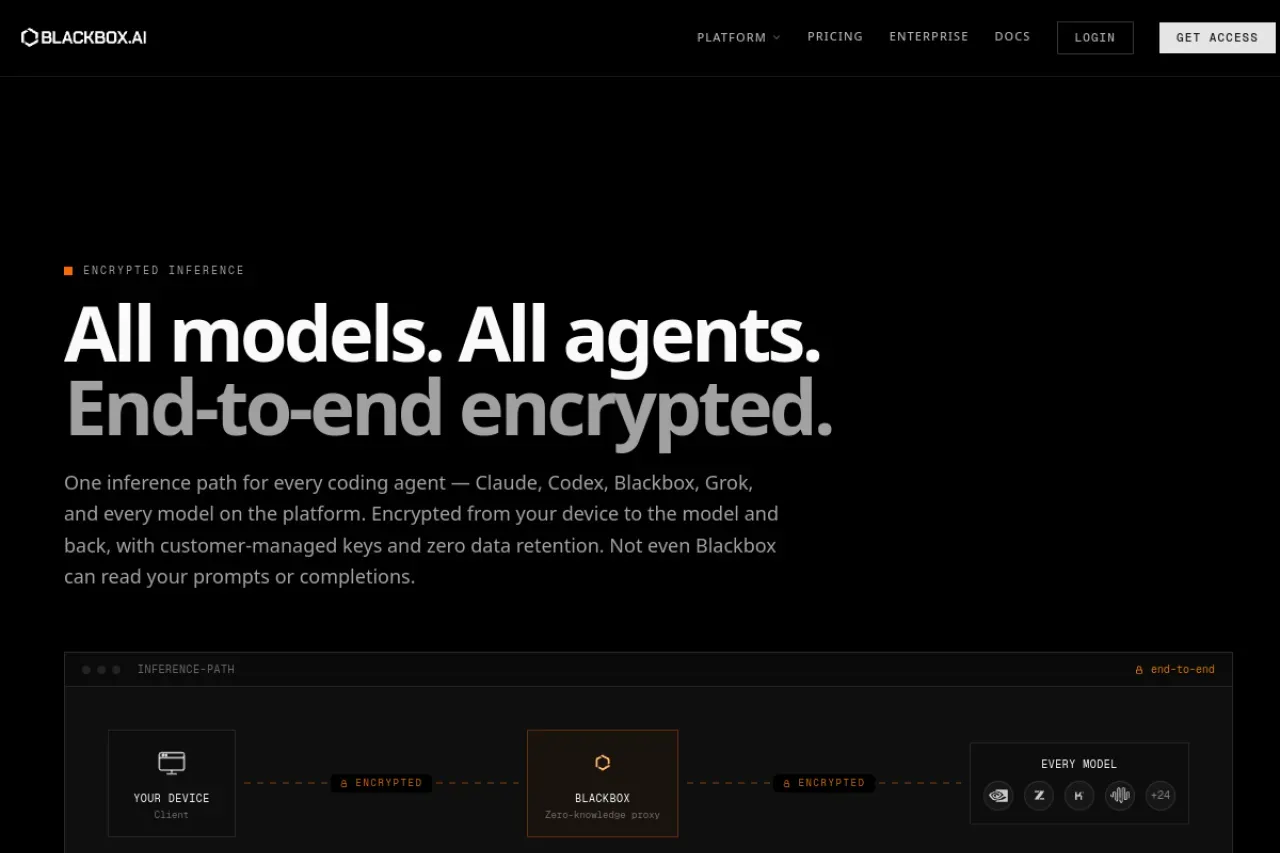 Blackbox AI