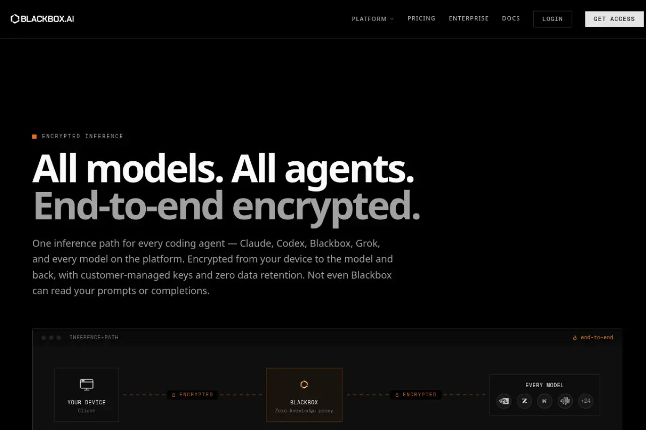 Blackbox AI