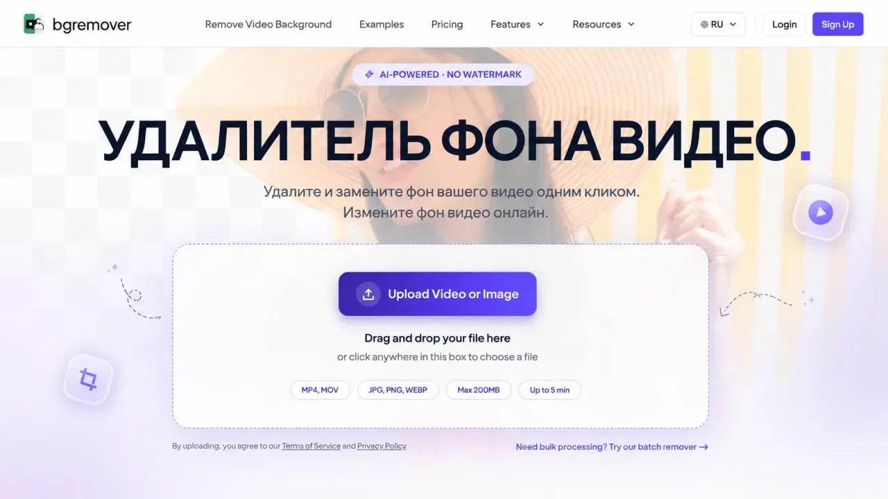 BGRemover.video